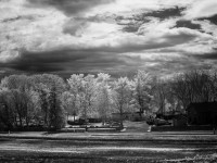 Scott Friedland - D850M-FS