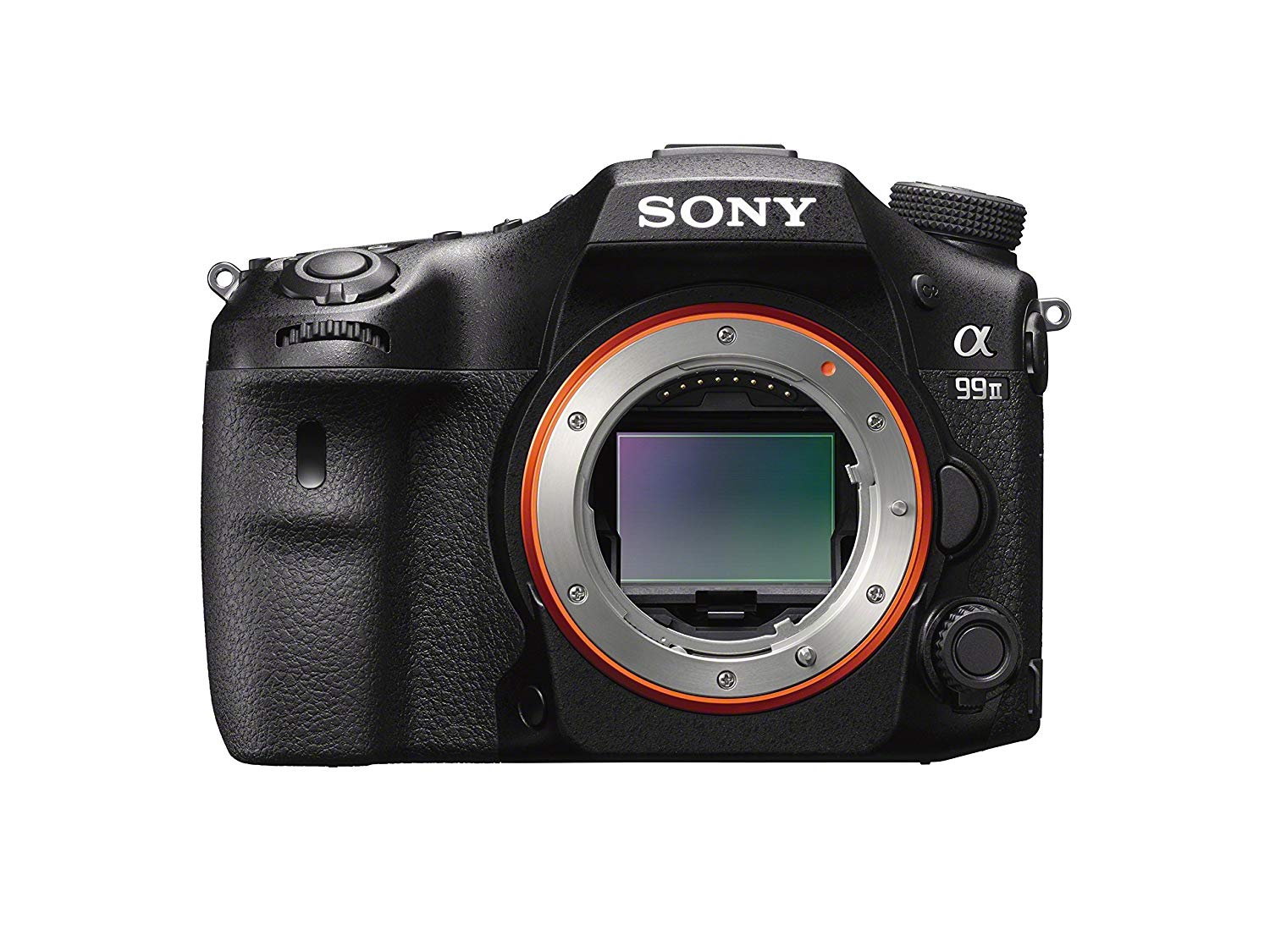 XNiteSonyA99MII: Sony A99 II 42 Megapixel Camera Monochrome High Resolution Visible Light